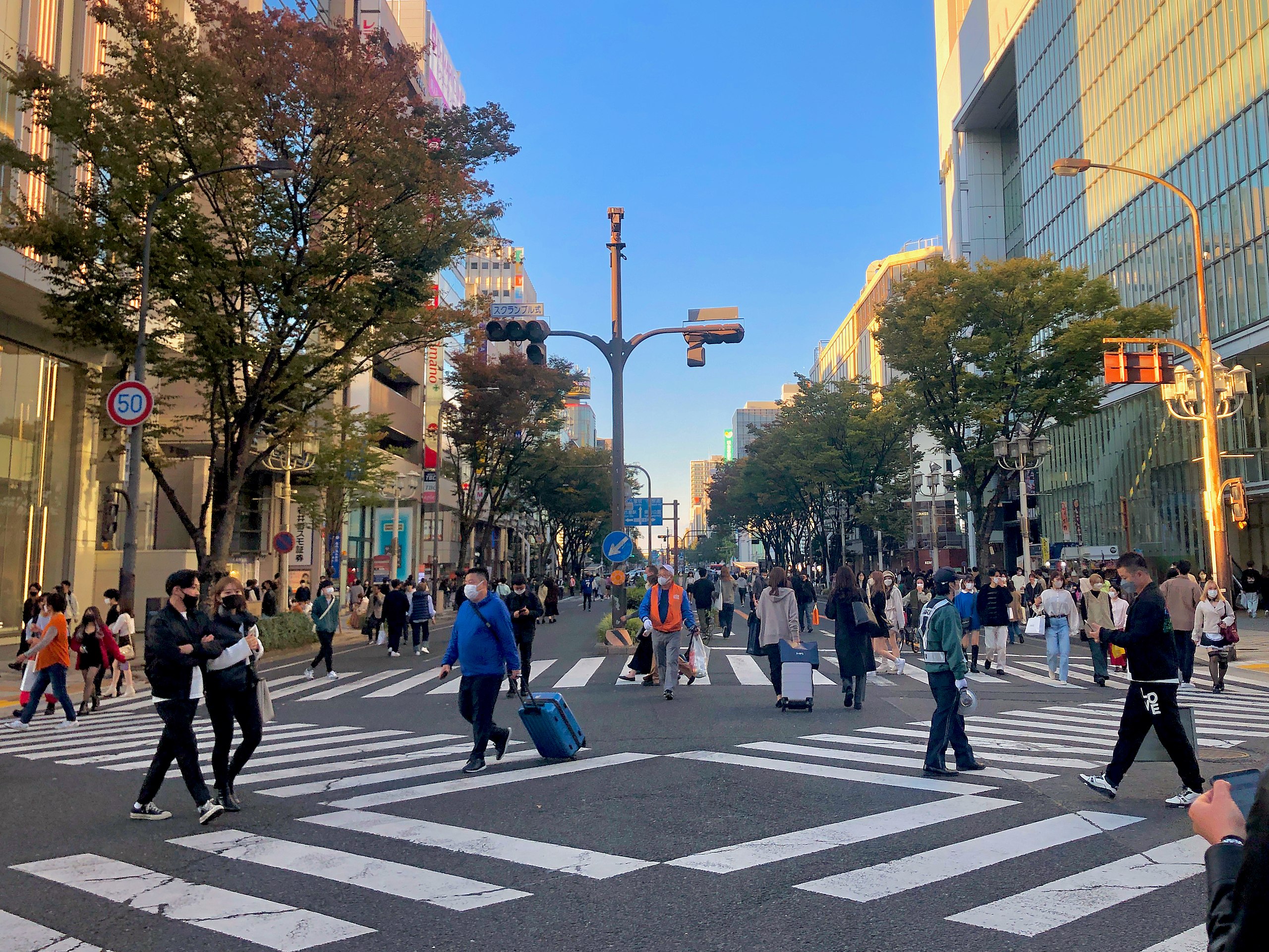 Pedestrian Accidents